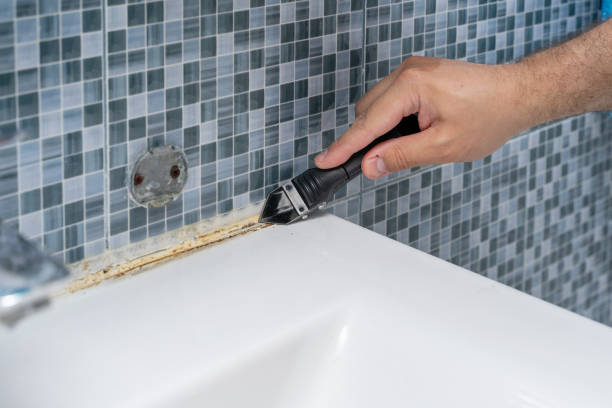 Best Local Mold Removal Service  in Beaufort, NC